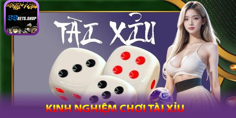 Kinh nghiệm chơi tài xỉu hiểu quả tại 88bet
